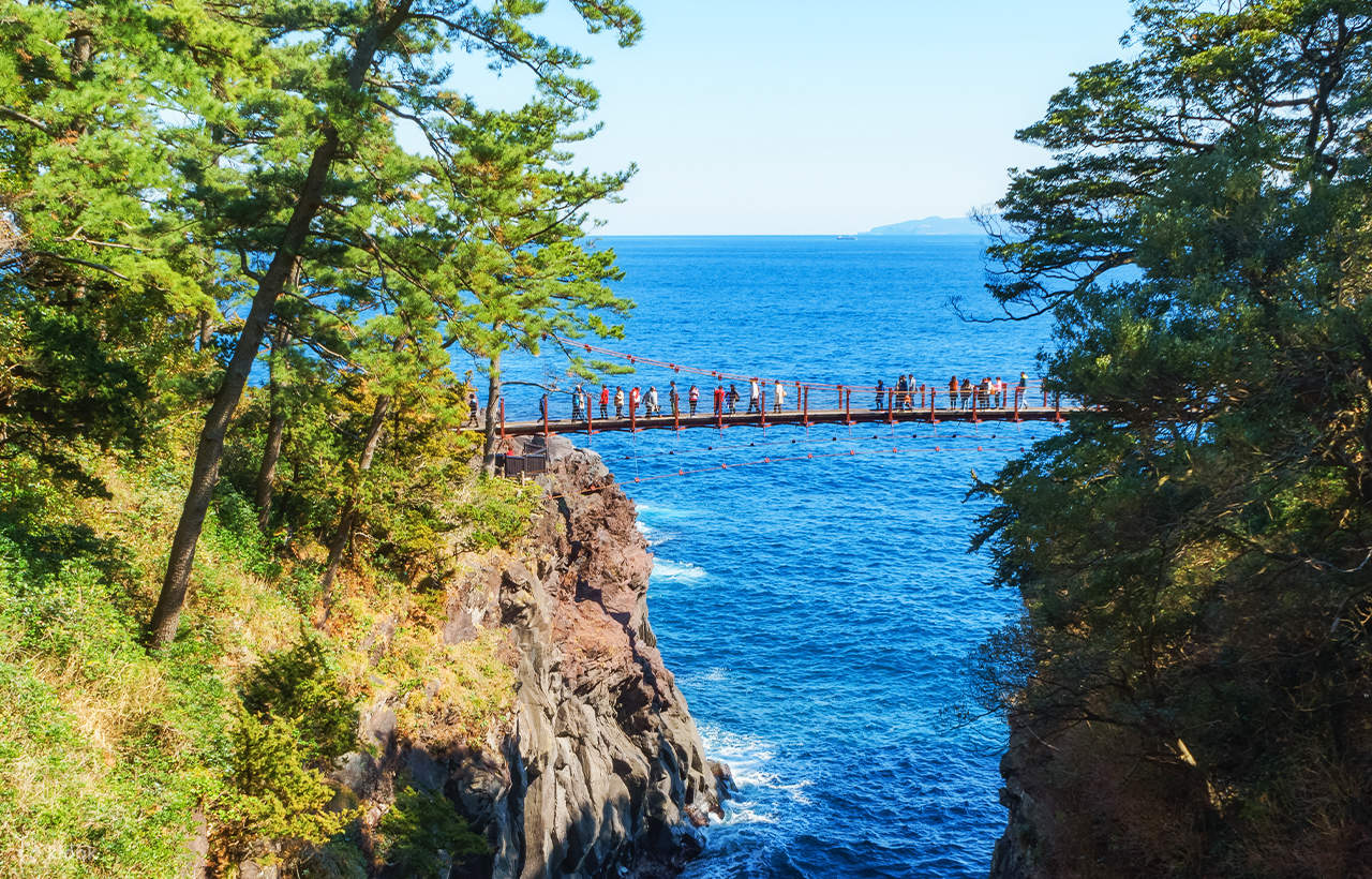 Summer Recommendation] One-day Tour of Izu Omuroyama